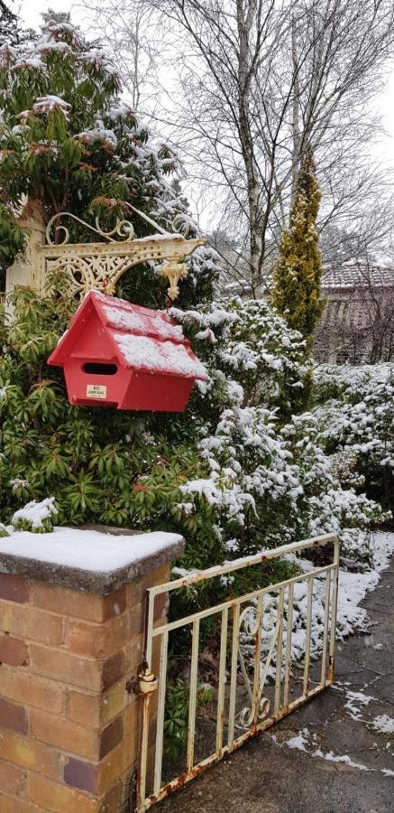 Winston Cottage At Three Sisters カトゥーンバ エクステリア 写真