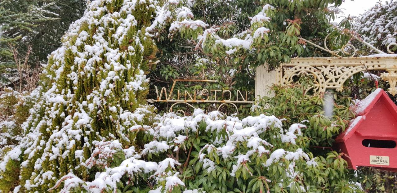 Winston Cottage At Three Sisters カトゥーンバ エクステリア 写真