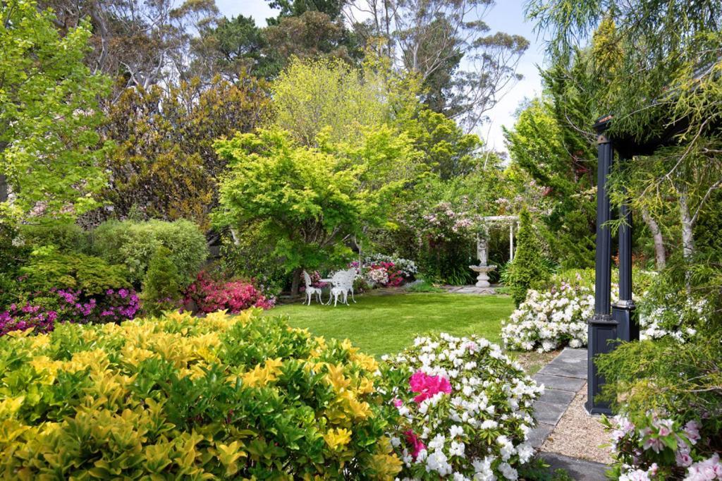 Winston Cottage At Three Sisters カトゥーンバ エクステリア 写真