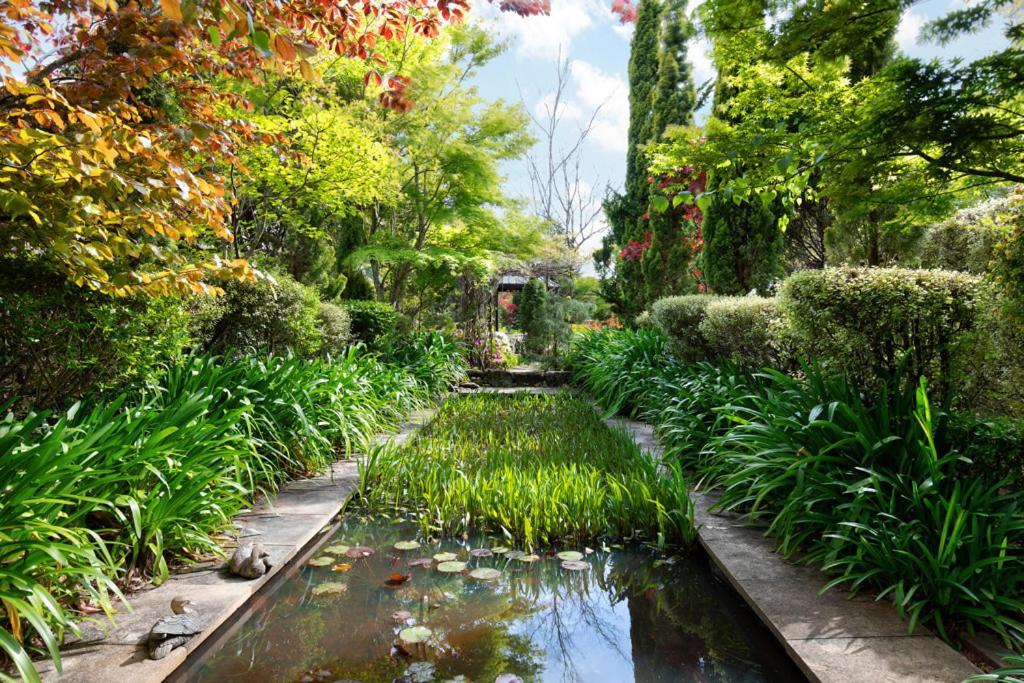 Winston Cottage At Three Sisters カトゥーンバ エクステリア 写真