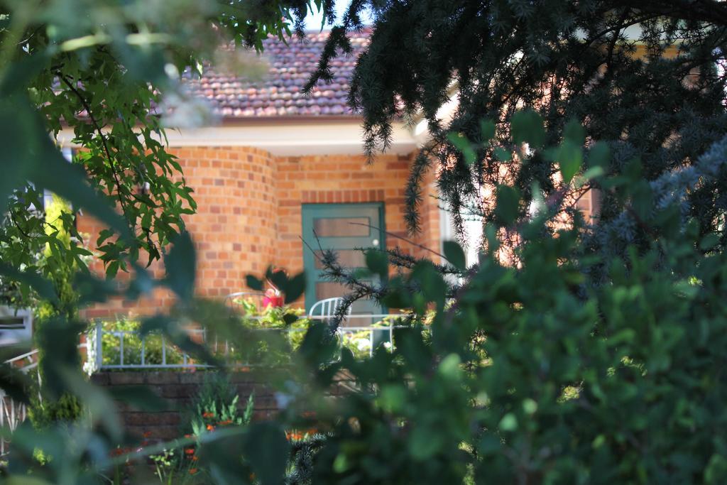 Winston Cottage At Three Sisters カトゥーンバ エクステリア 写真