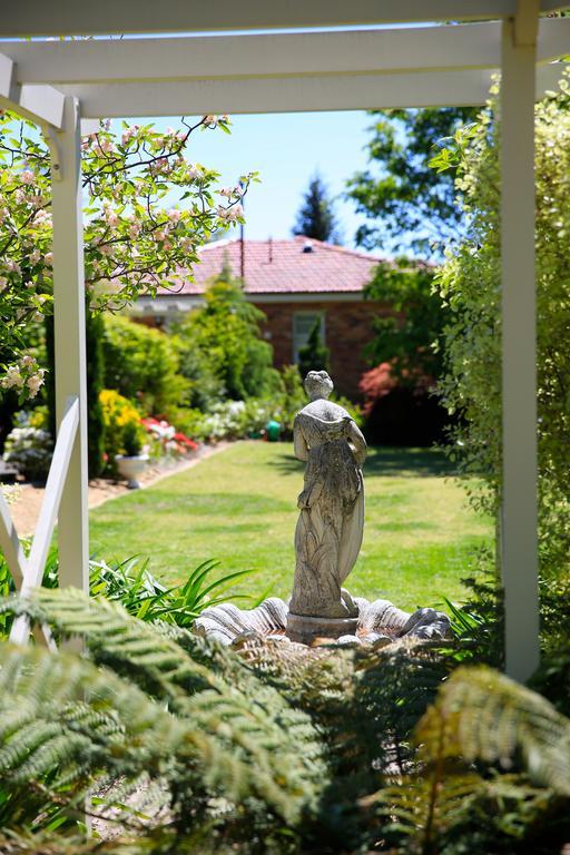 Winston Cottage At Three Sisters カトゥーンバ エクステリア 写真