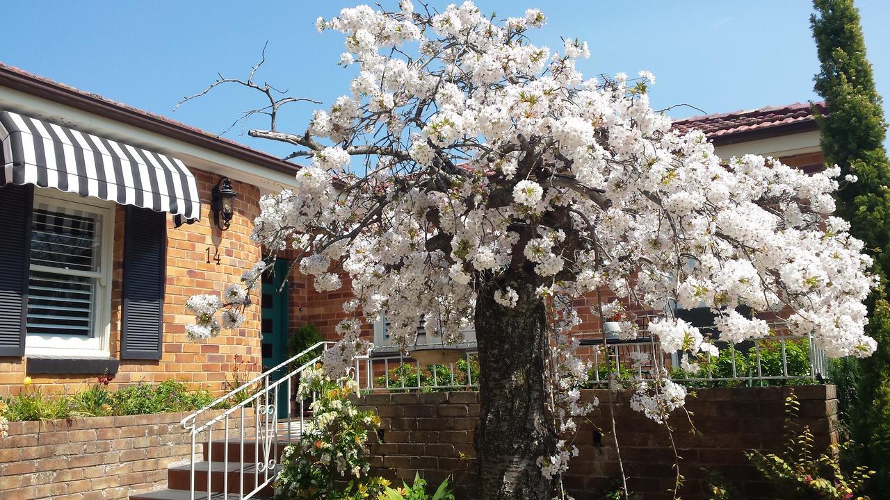 Winston Cottage At Three Sisters カトゥーンバ エクステリア 写真